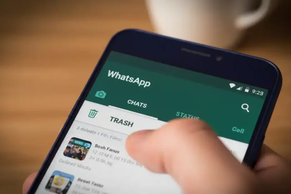 Du kan rensa bort skräpfiler med hjälp av WhatsApp på din telefon.