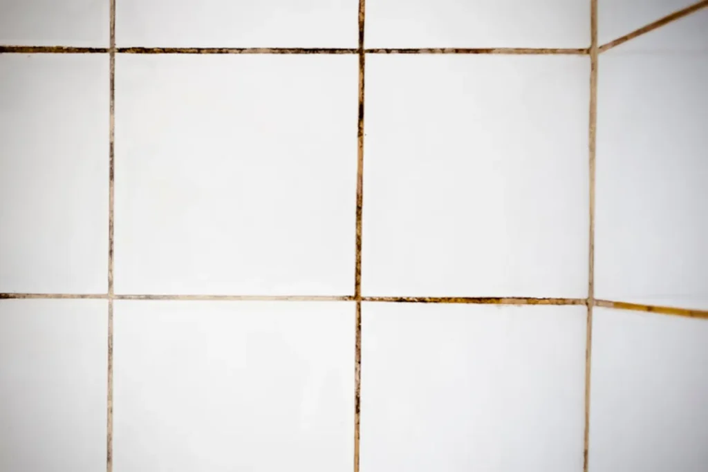 Smutsiga kakelfogar.