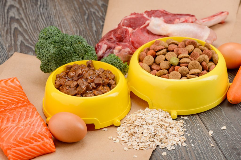 Olika typer av kattmat.