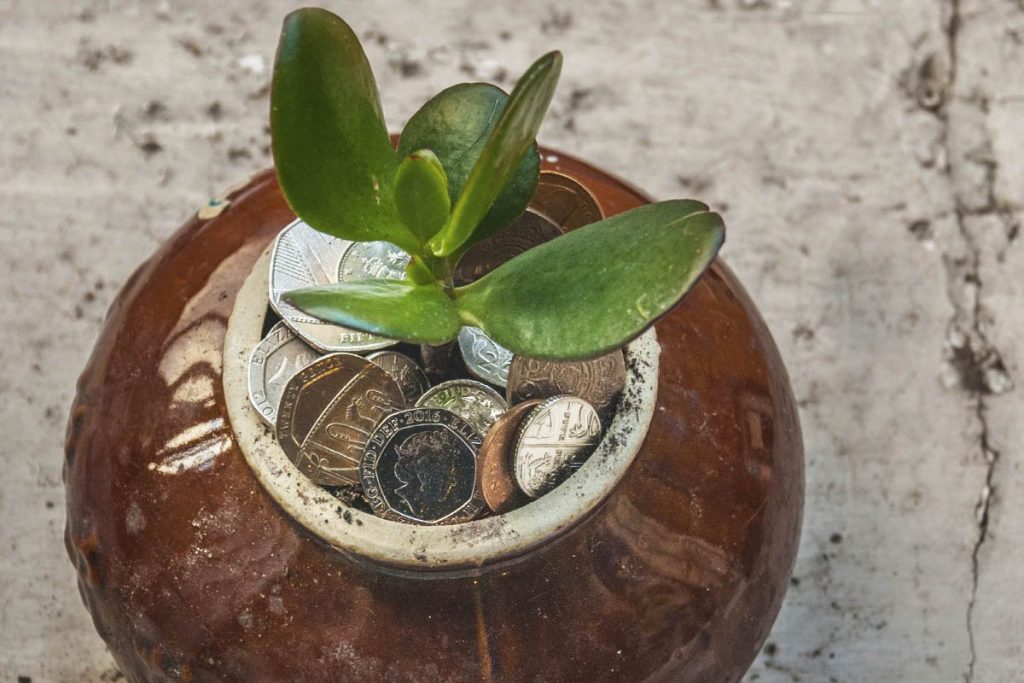 En hög med mynt och en växt.
