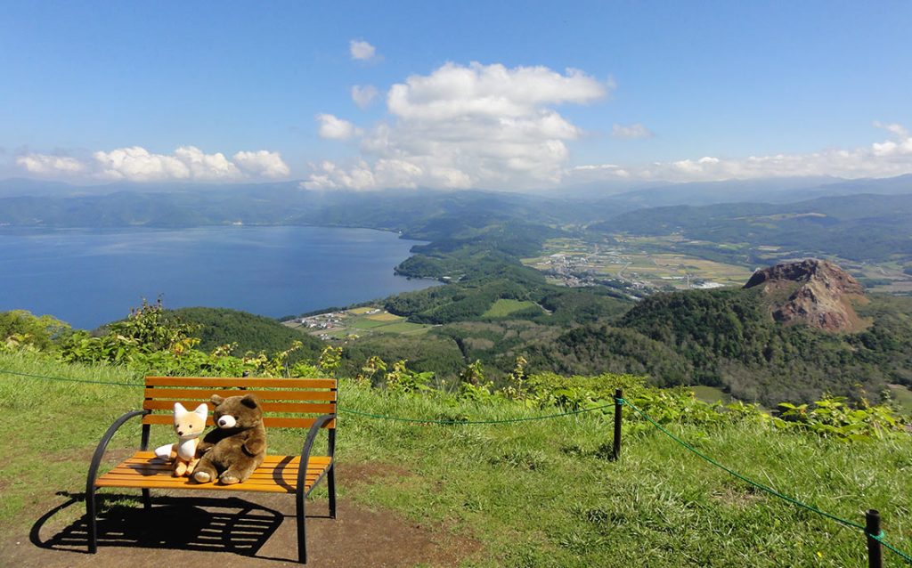 Utsikt över berget från kullen.
