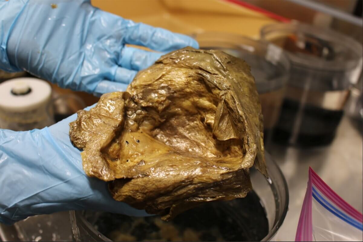 Forskare studerar denna struktur, som de hittade i havet.