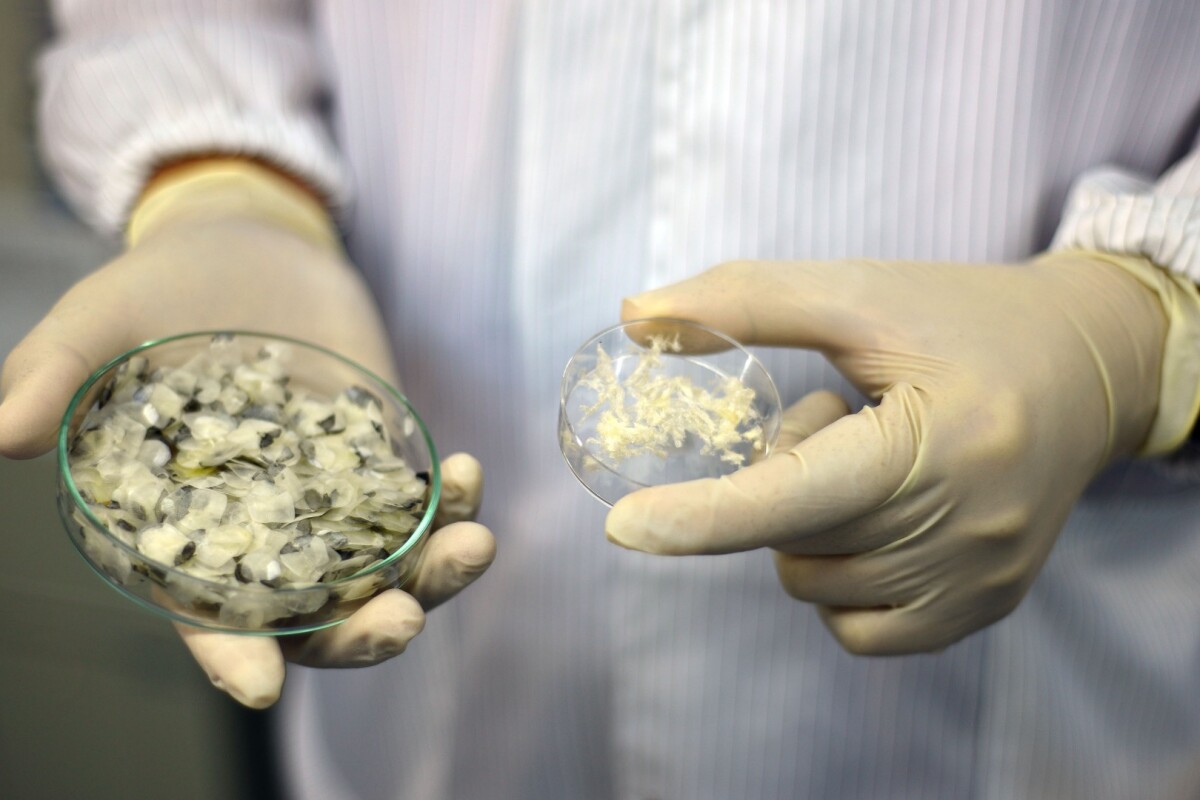 Forskare använder fiskfjäll.