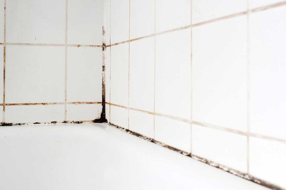 svarta fläckar i badrummet är obehagliga nyheter.