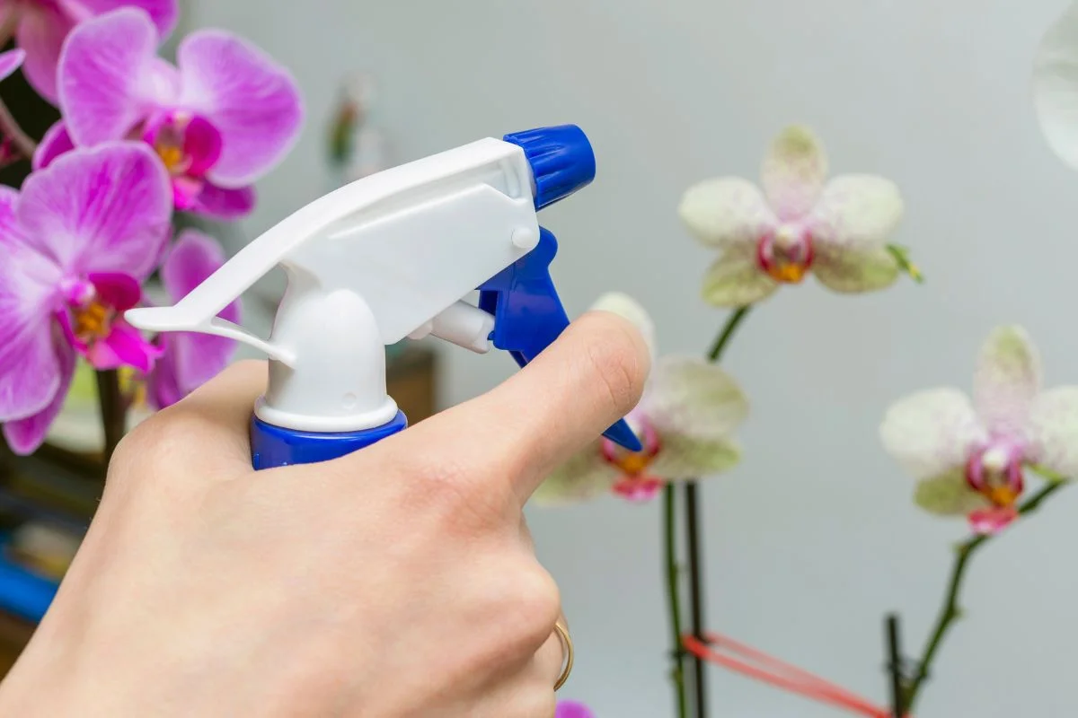 Spruta med vatten med hjälp av en orkidébehållare.