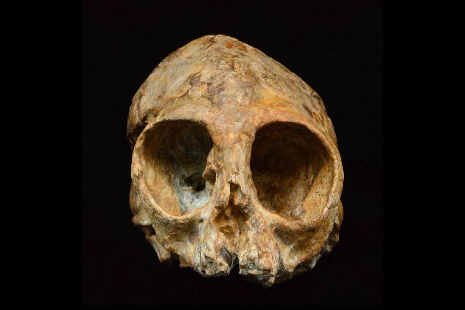 Forskare tror att neandertalarna inte är dött.