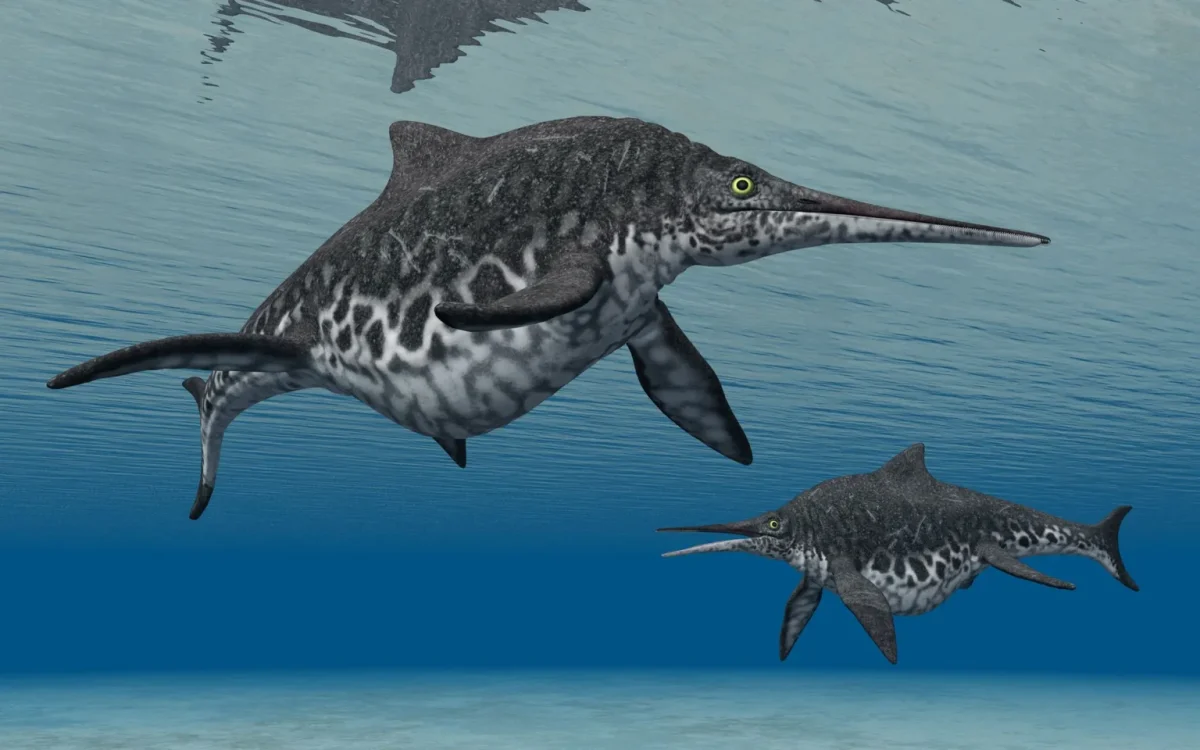 Så här såg de ut i forna tider. 3D-grafik från dator användes.