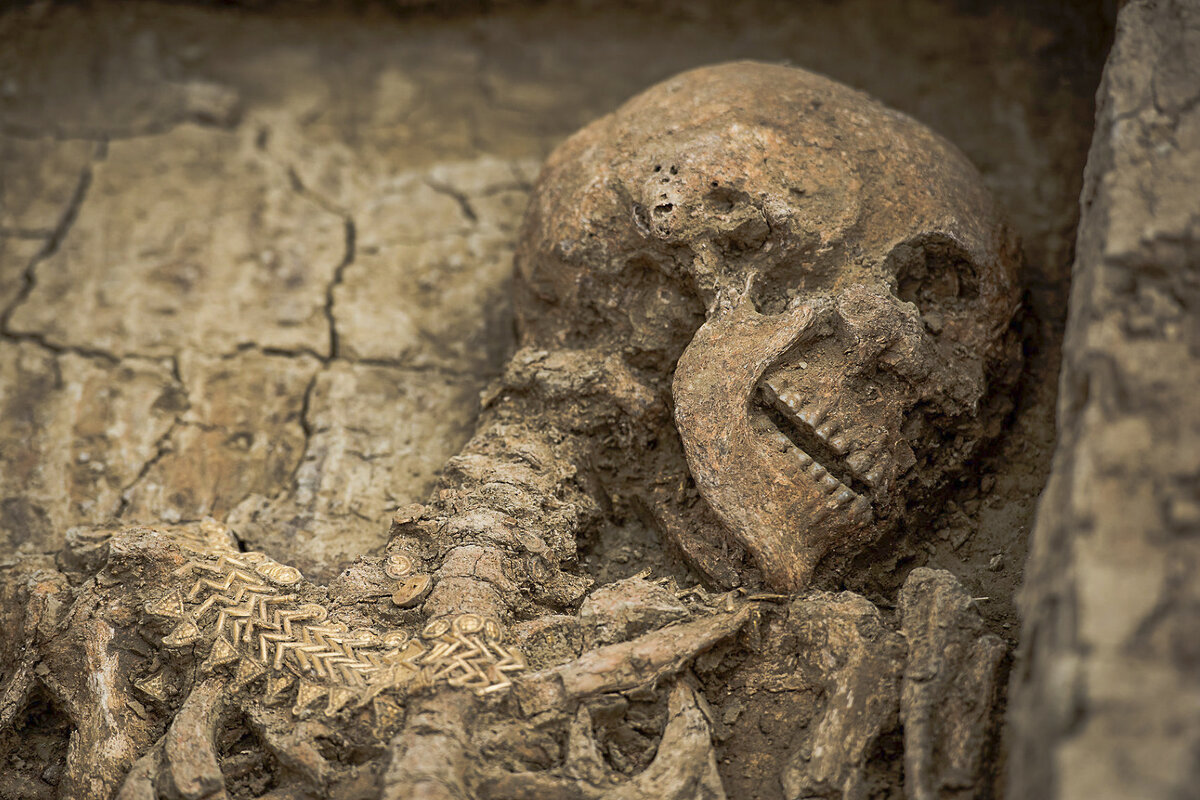 Mänskliga kvarlevor.