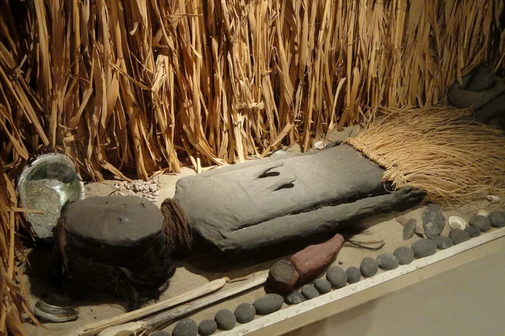 Mumie man från Chinchorro-folket.