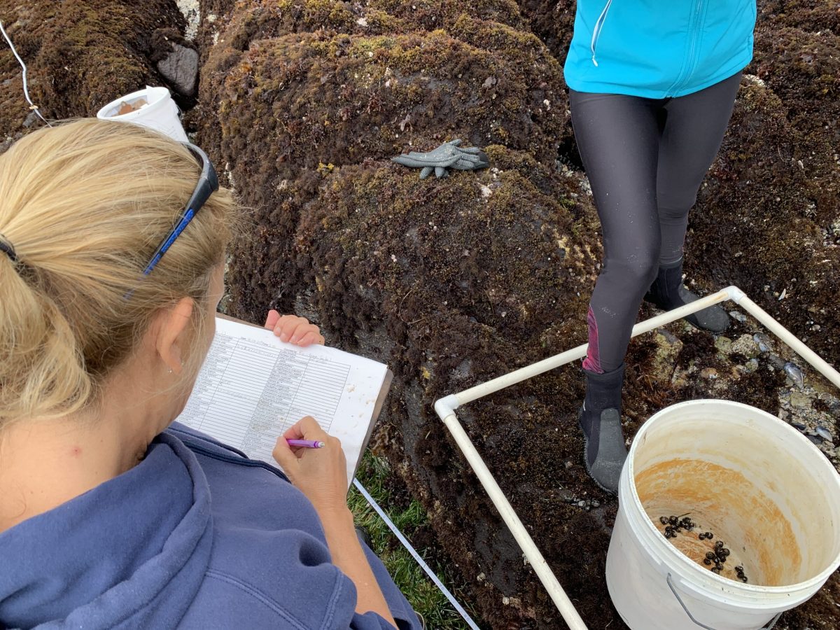 En transekt är en vetenskaplig metod för att studera territorier.